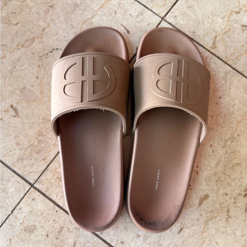 Anine Bing Taupe Logo Slide Sandals